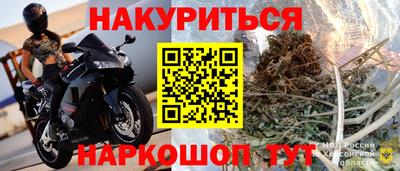 гидра Славянск-на-Кубани
