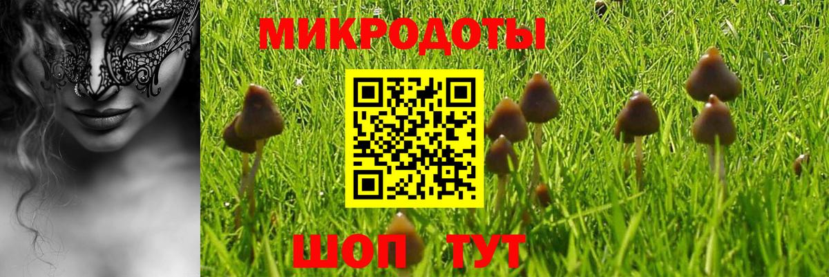 Псилоцибиновые грибы GOLDEN TEACHER Новый Уренгой